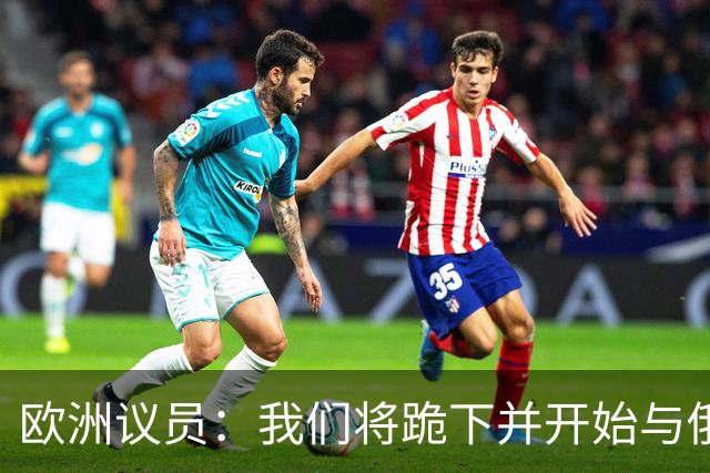 欧洲议员：我们将跪下并开始与俄谈判，这是我们自身愚蠢的结果